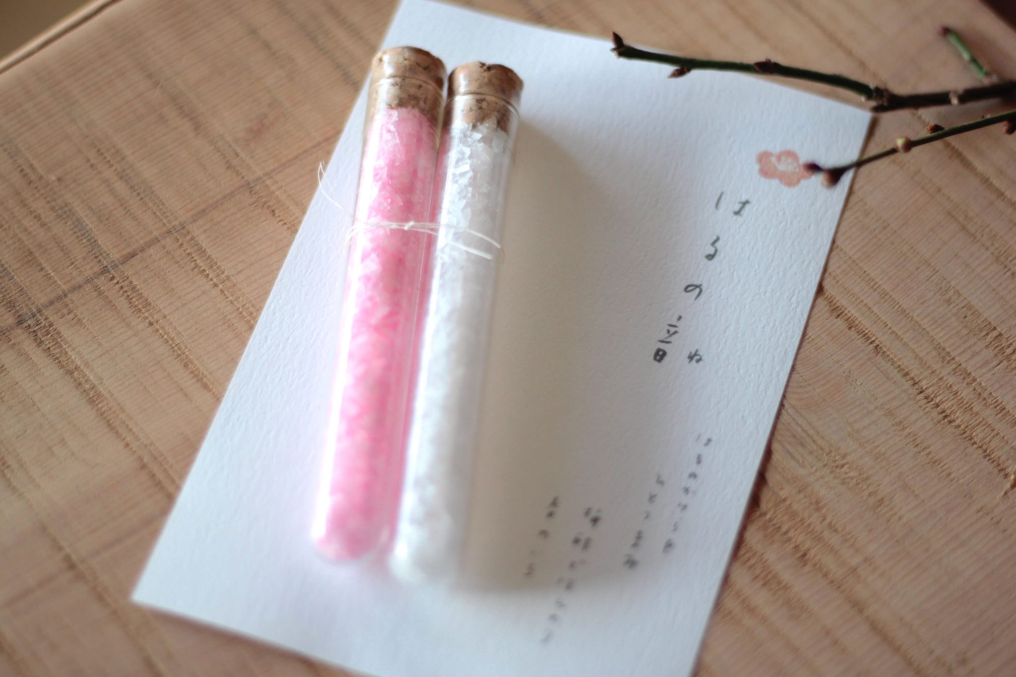 またいちの塩　ひと足早い春を食卓に。紅白の花塩セット「はるの音」