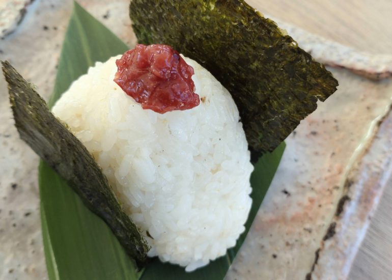 春の行楽時期はおむすびを持って出かけよう！