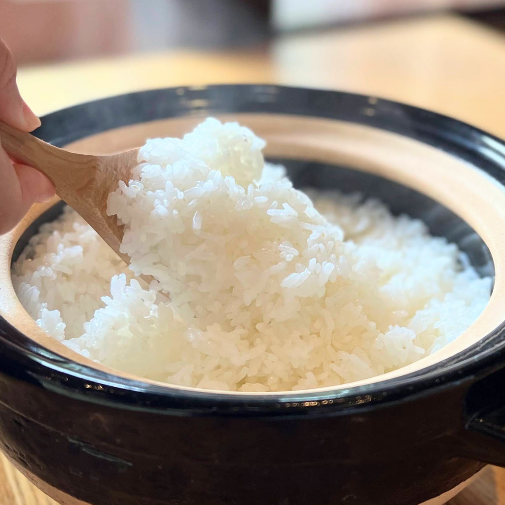 春の行楽時期はおむすびを持って出かけよう!