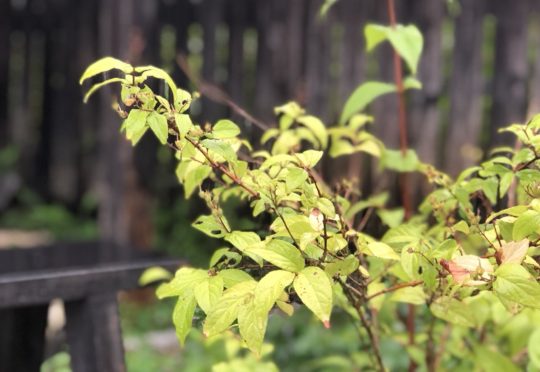 【再開しました】商品発送について