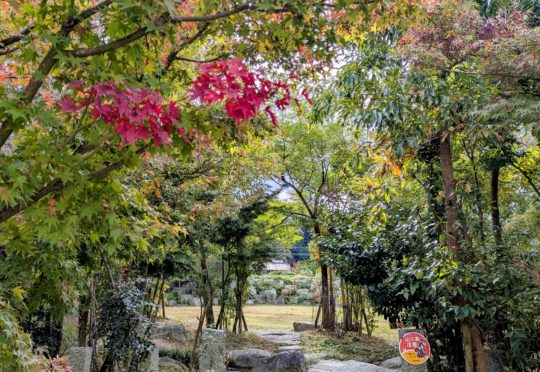 新三郎商店の庭でつくる、自分だけのリースづくりワークショップ