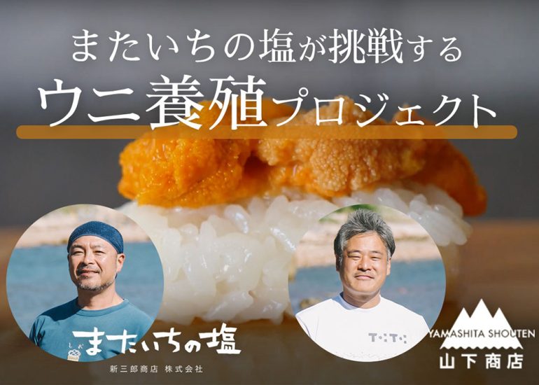 ウニ養殖プロジェクトに挑戦します！
