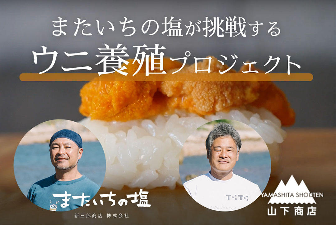 ウニ養殖プロジェクトに挑戦します！ | 新三郎商店株式会社 またいちの塩