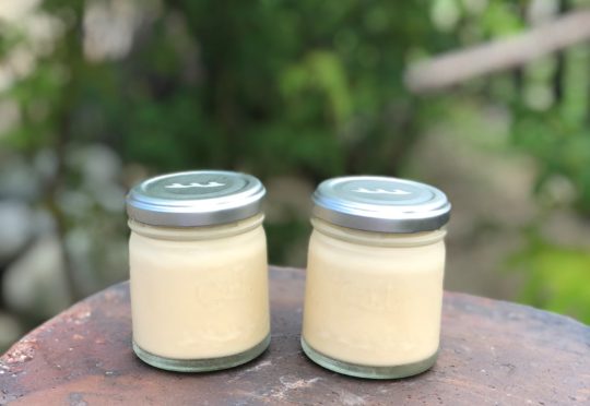 新作プリン試食やってます！（個数限られます）